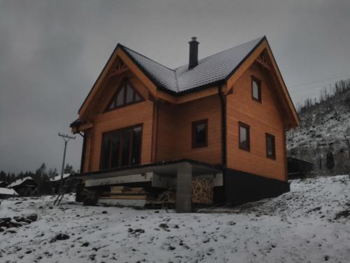 ivana19